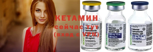 молекула духа Каменка