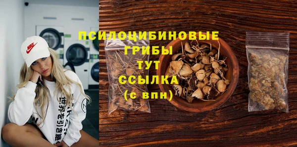 дмт Аркадак