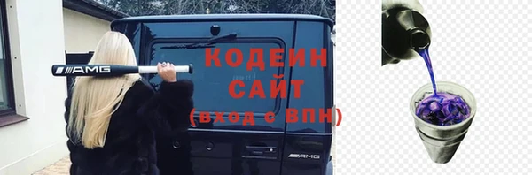 тгк Инта