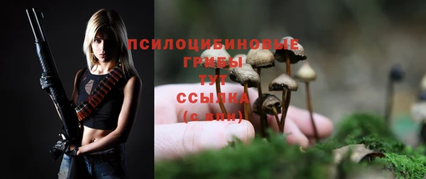 молекула духа Каменка