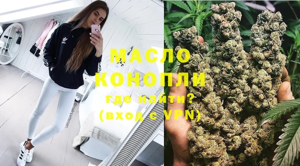 молекула духа Каменка