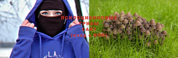 a pvp Инсар