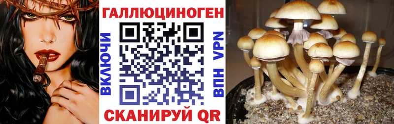 Галлюциногенные грибы ЛСД  наркошоп  Чебаркуль 