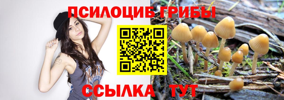 Псилоцибиновые грибы Cubensis  Псилоцибиновые грибы Magic Shrooms  Вход с VPN  Чебаркуль 